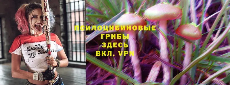 Псилоцибиновые грибы MAGIC MUSHROOMS  хочу   Кыштым 